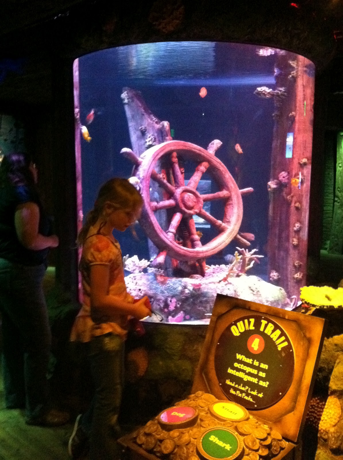 The Jungle Store The Kansas City Sea Life Aquarium