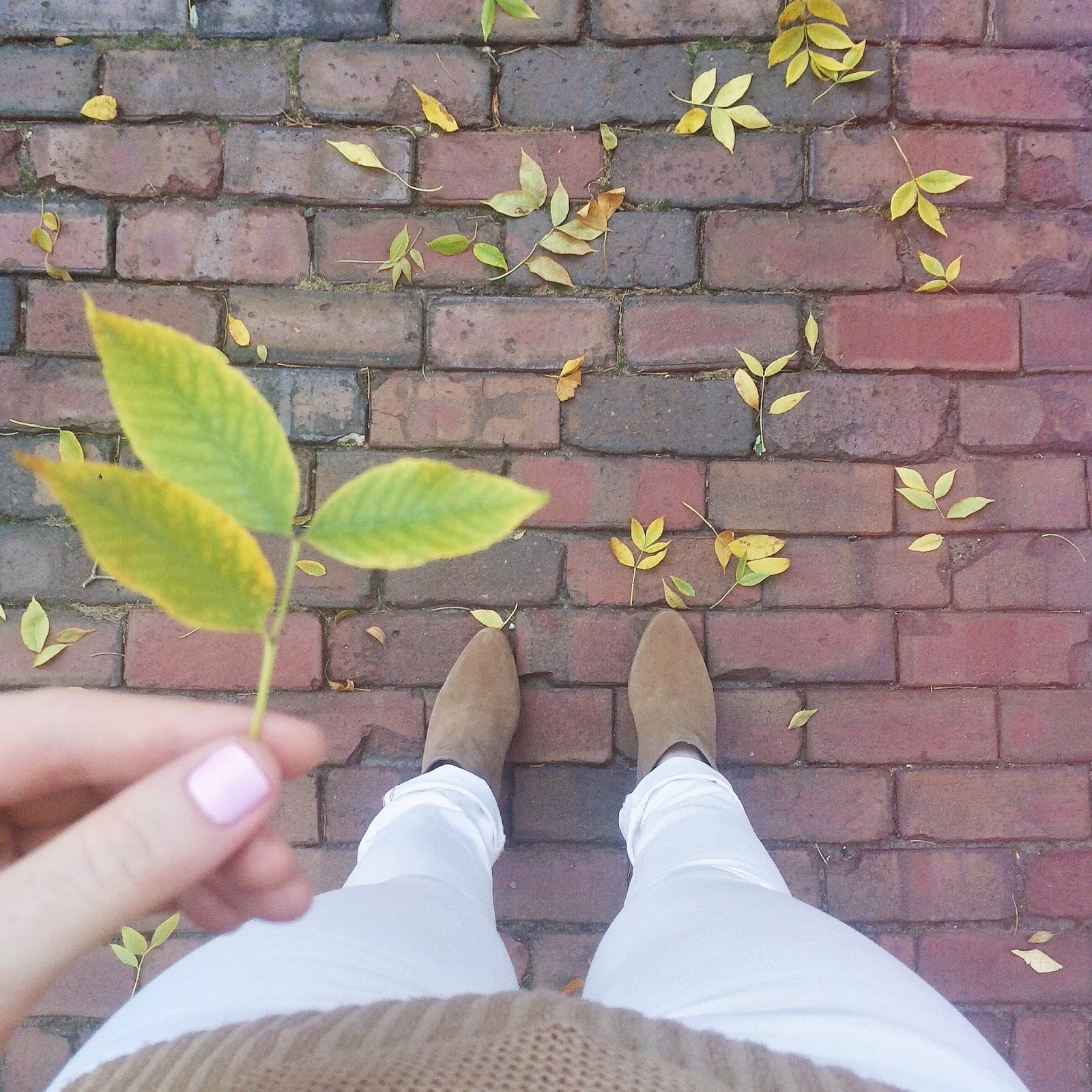boots-and-leaves