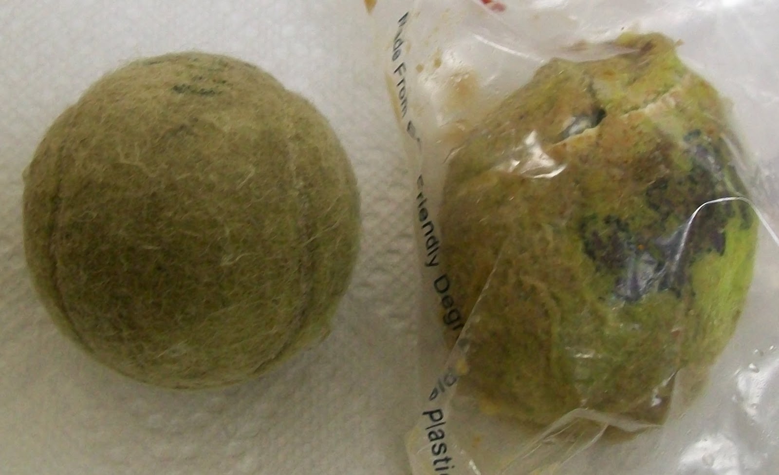 Hatton Veterinary Hospital Can A Dog Swallow A Whole Tennis Ball?