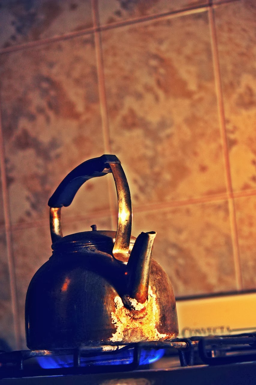 An Everlasting Life A watched pot never boils Proverb for January 6