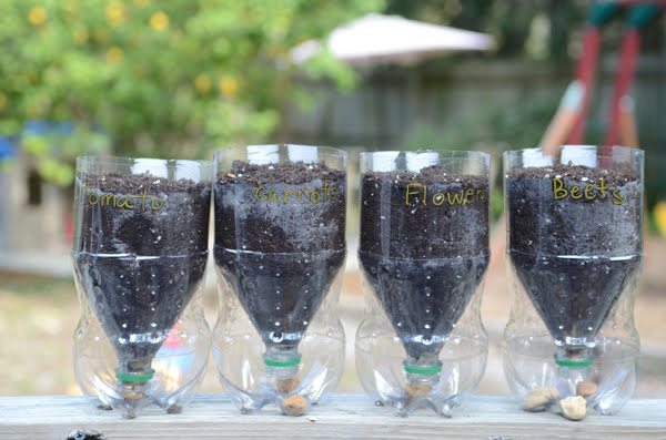 From the Fence Post: Recycled 2 Liter Bottle Planters From the Fence Post: Recycled 2 Liter Bottle Planters