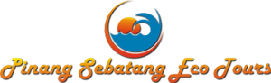 PINANG SEBATANG ECO TOURS