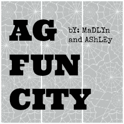 AG Fun City