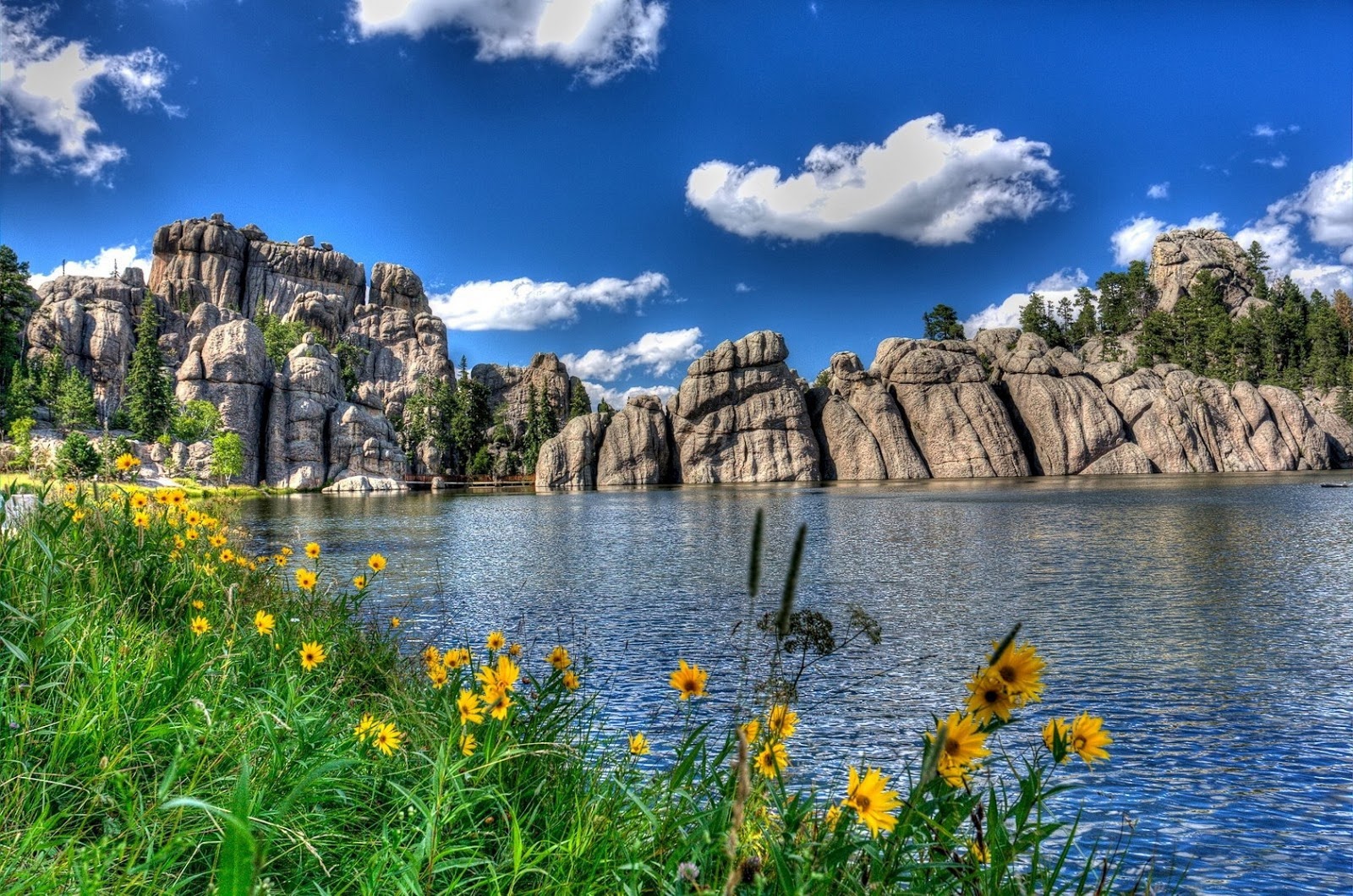 http://4.bp.blogspot.com/-TdXKwQDMVTE/UMTJeDmf4qI/AAAAAAAAChc/Pb9MLMG1YTI/s1600/ComputerDesktopWallpapersCollection541_087.jpg