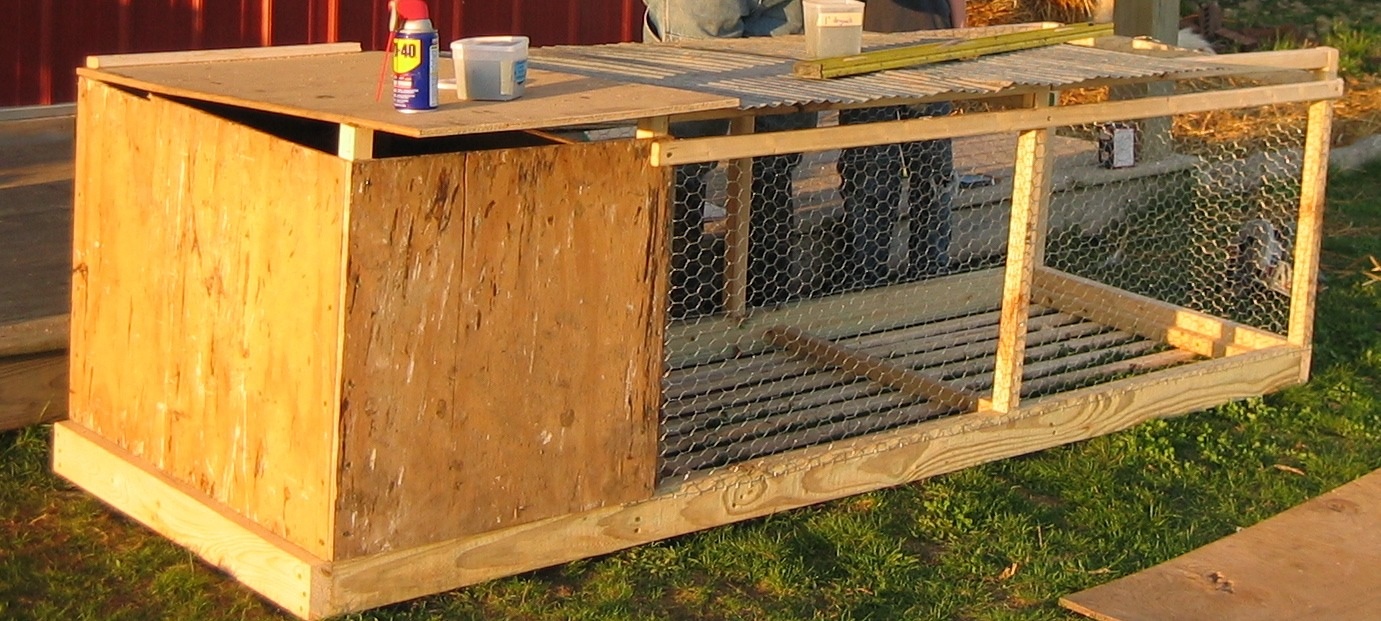 The Beginning Farmer's Wife Rabbits are Joining our Farm!