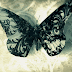 Kelebek Gif  Butterfly 