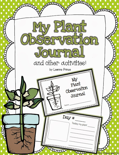 http://www.teacherspayteachers.com/Product/My-Plant-Observation-Journal-and-other-plant-activities-689866