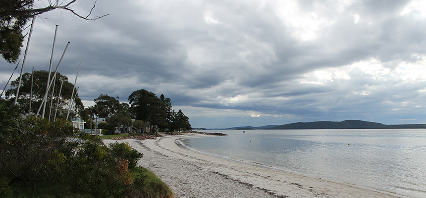 Dog Friendly Beaches Forster Dog Friendly Beaches Forster