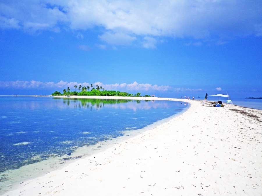 My Philippine Travel and Tour: Bohol Tour 6: Sea Tour (Dolphin Watching