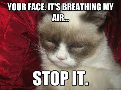 Grumpy Cat Quotes | Funny Collection World Grumpy Cat Quotes | Funny Collection World