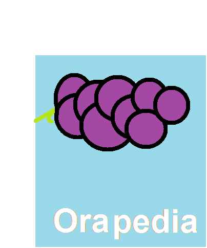 Orapedia