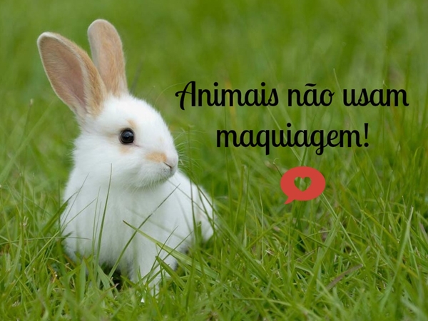Animais não usam maquiagem cruelty free