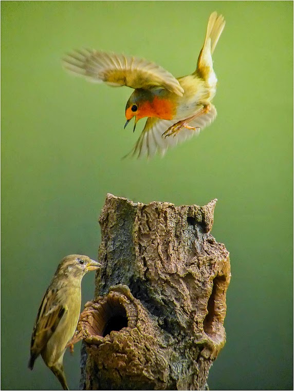 emerging photographers, Best Photo of the Day in Emphoka by Mark Freeth, https://flic.kr/p/oSEYtc emerging photographers, Best Photo of the Day in Emphoka by Mark Freeth, https://flic.kr/p/oSEYtc