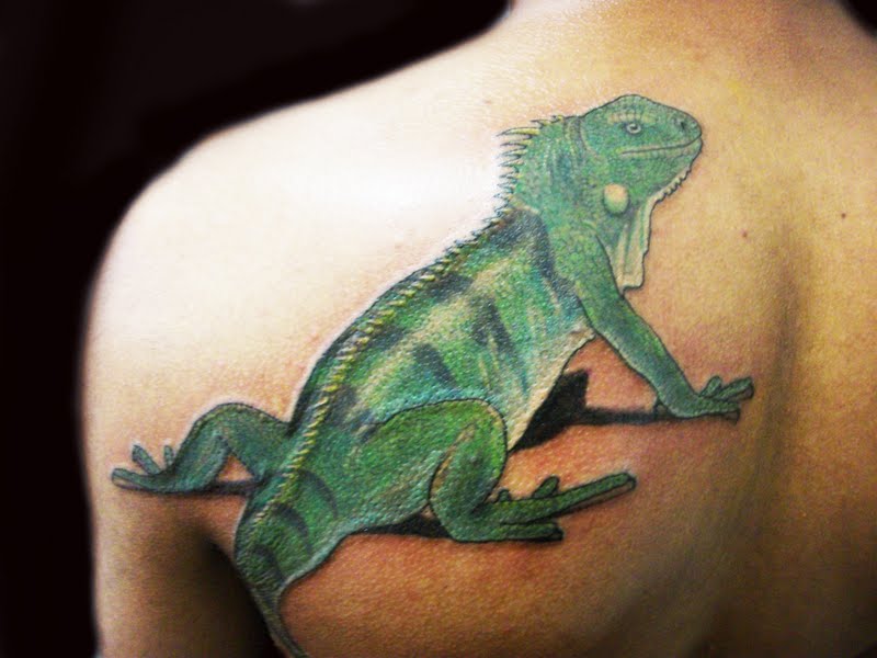 iguana tattoo