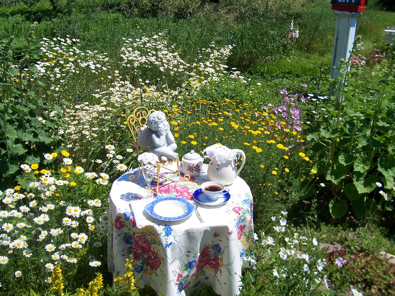 Two Cottages And Tea Daisy Tea