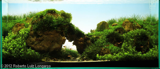 AGA - Roberto Luiz Longarço Aquatic Garden AGA - Roberto Luiz Longarço Aquatic Garden