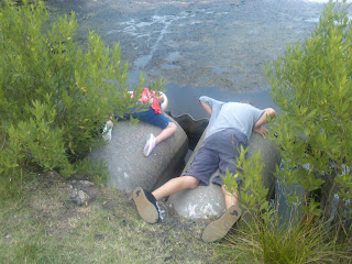 Funny Pictures With Optical Illusions Funny Picture