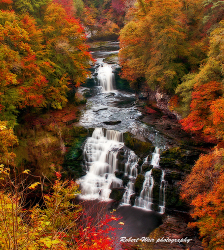 Autumn Graphics Picture: Autumn Falls