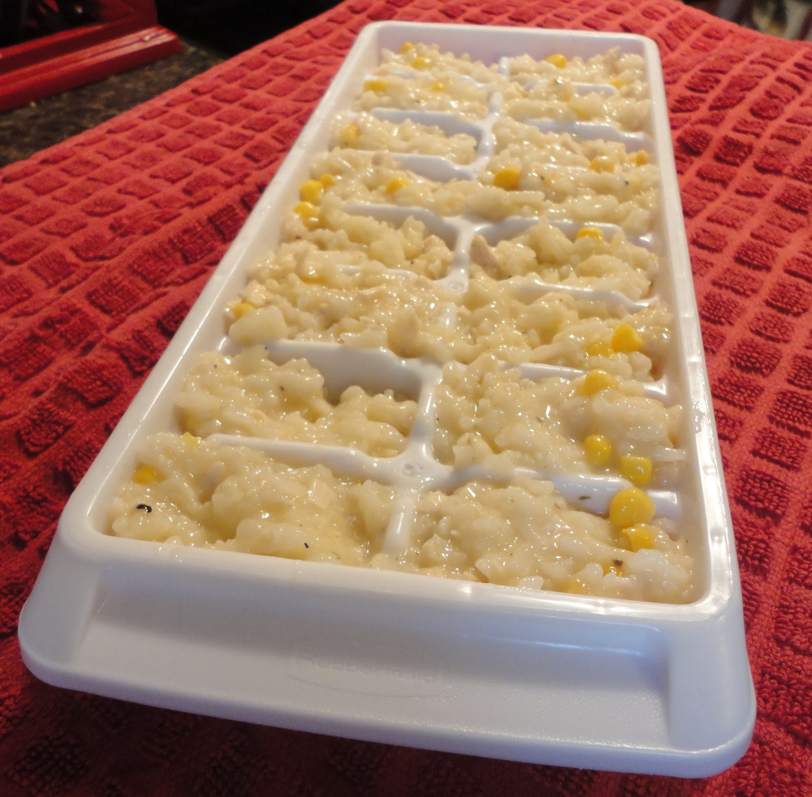 The Nursing Mommy Freezing Baby Food