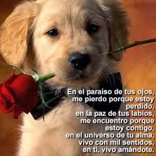 tarjetas de amor