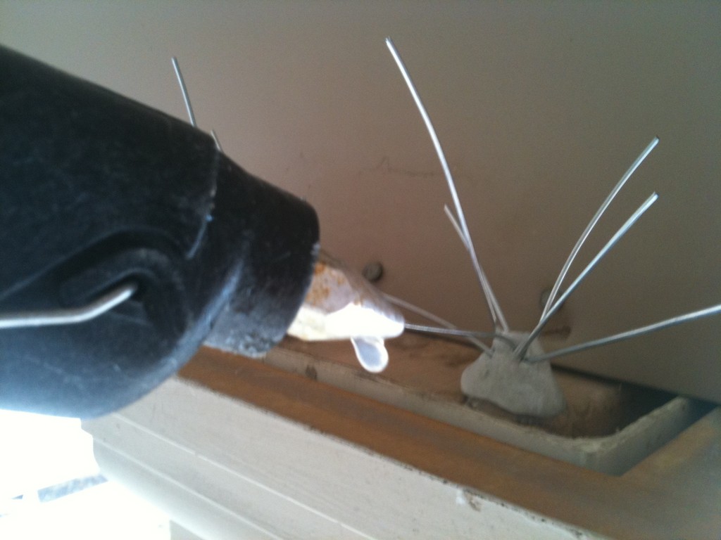 Bird In Everything Diy Bird Spikes