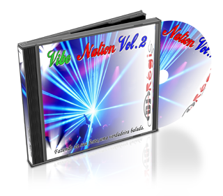 Download CD Vibe Nation Vol.2 2011 By DJ Régis