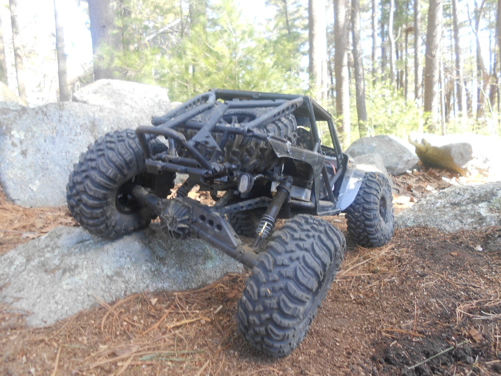 axial wraith custom cage