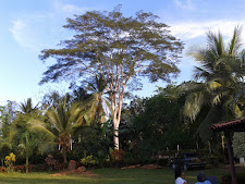 FINCA EXPERIMENTAL