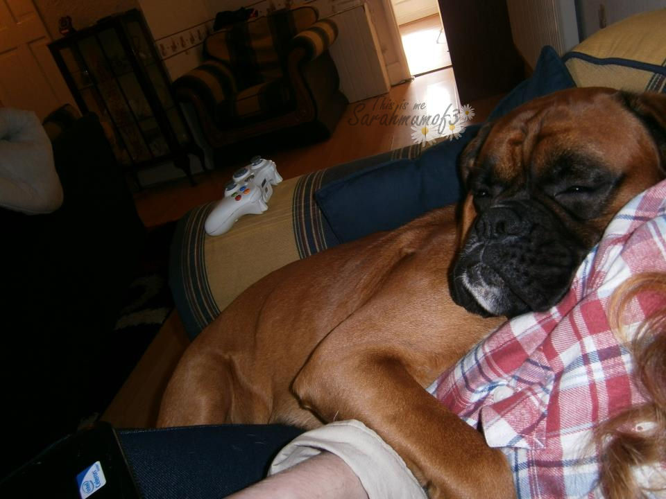 This is me Sarah mum of 3 The Down Side to Dogs