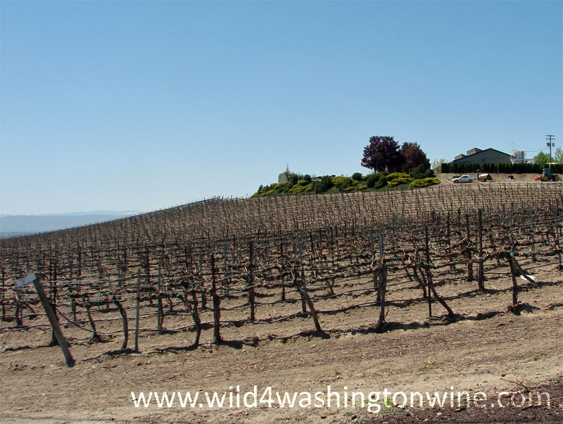 Silver Lake Winery Escape to Zillah