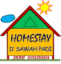 Homestay D' Sawah Padi