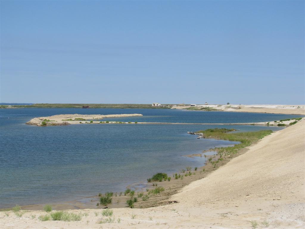 Viewing nature with Eileen Birding Poplar Island, Md