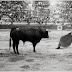 FOTÓGRAFOS