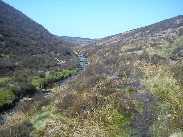 Infant River Derwent