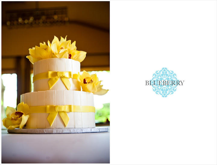 napa wedding photography outdoor vineyard brix yountville cake yellow bows