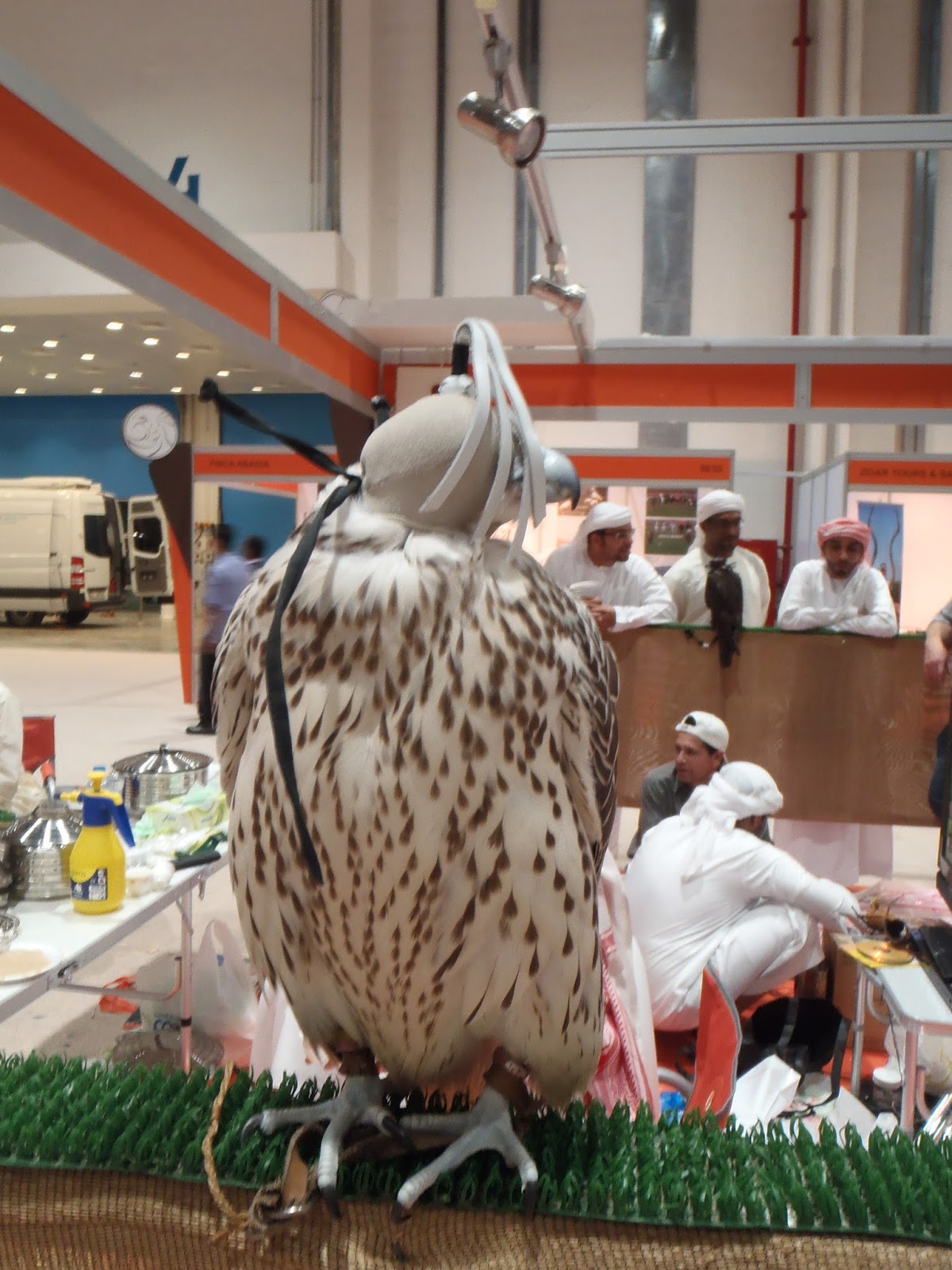 rencontre emirat arabe