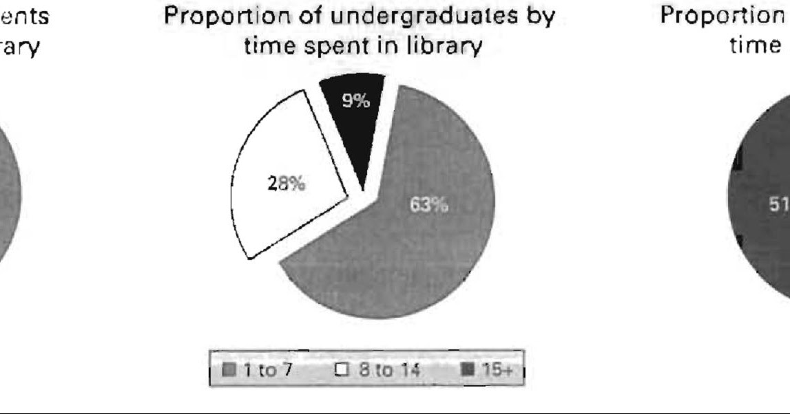 Pie chart essay example picture