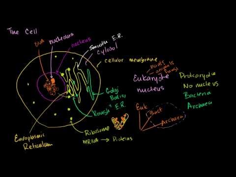 honors chemistry khan academy honors chemistry khan academy