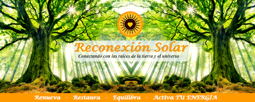 Reconexión Solar