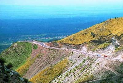 merlo argentina