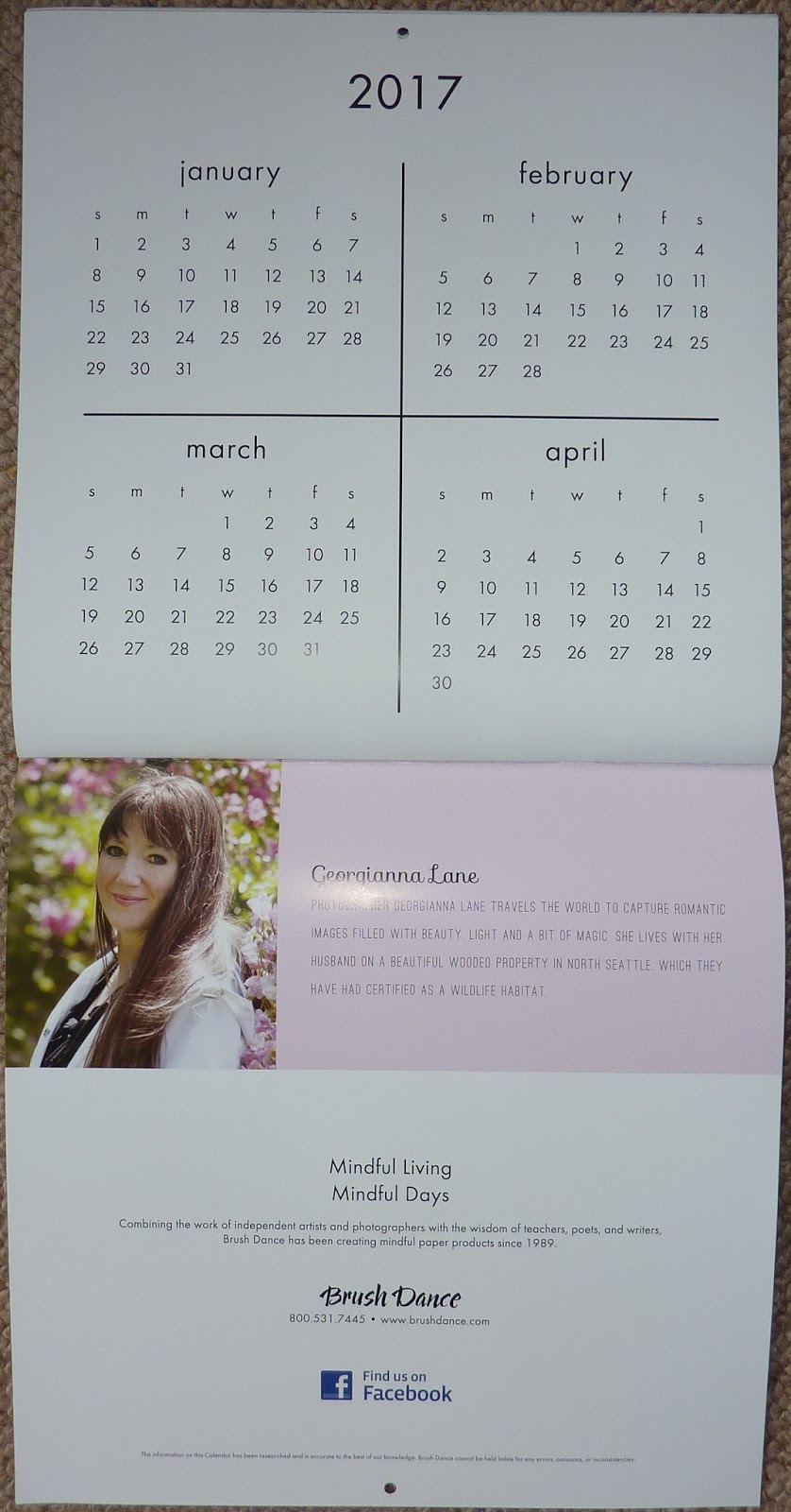 Plannerisms Brush Dance 2016 wall calendars