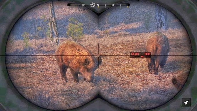 Скачать игру охота на компьютер