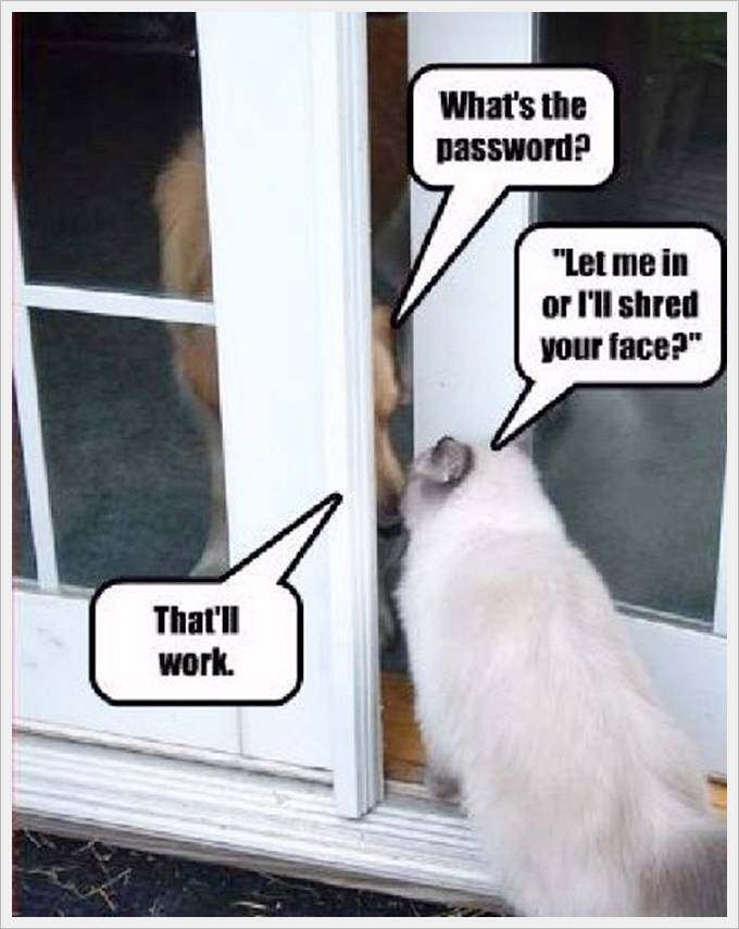 funny talks