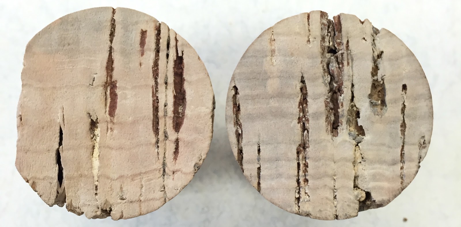 The Phytophactor Botany Within Your Reach 1. Corks