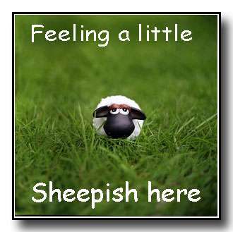 SHEEP-FeelingSheepishW.jpg