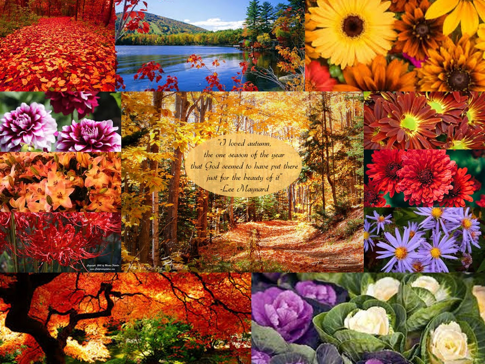 Grand Rental Station Fairview Heights IL