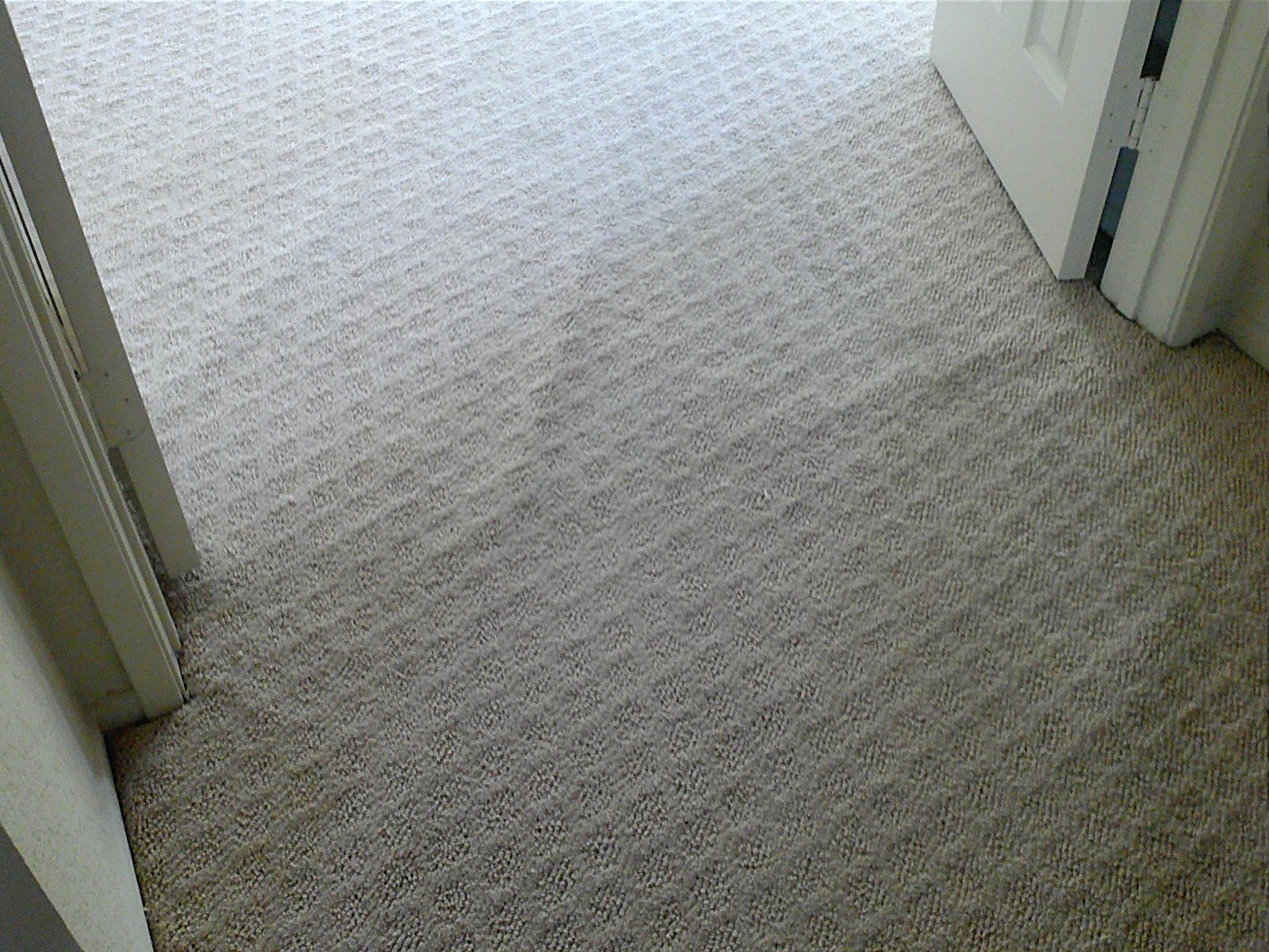 Oh My God my carpet has ripples!