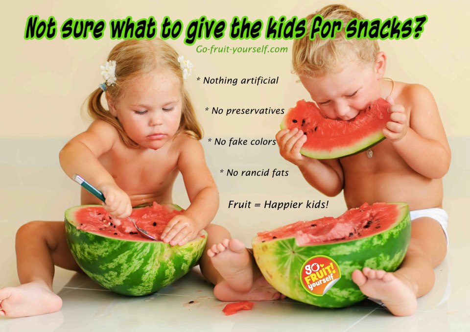 Nature S Junk Food Nature S Junk Food