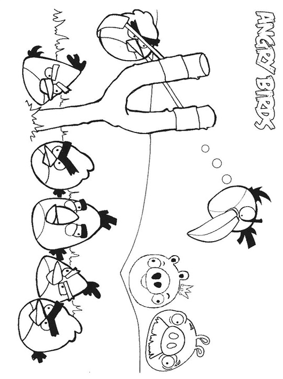 Angry Bird Color Pages Angry Bird Color Pages