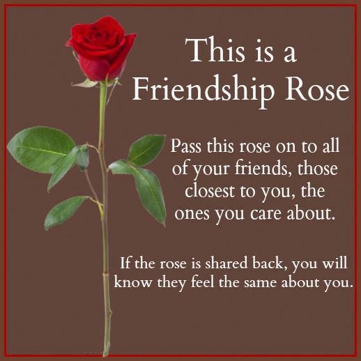 Roses Friendship Quotes. QuotesGram